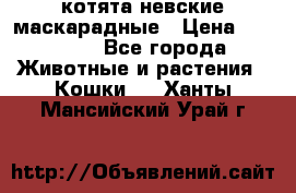 котята невские маскарадные › Цена ­ 18 000 - Все города Животные и растения » Кошки   . Ханты-Мансийский,Урай г.
